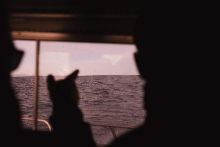  07 decembre 2020. Sete. Peche au thon rouge en Mediterranee avec Vincent D'Aquino pour MSC.