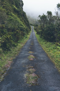 TG3377138 22 may 2017. Sao Miguel Azores. Portugal. A wild road between Ribiera grande and the abandonned village of Lombadas in the heart of the forest.
22 mai 2017. Sao Miguel. A?es. Portugal. Une route sauvage et sinnueuse entre Ribiera Grande et le village abandonn?e Lombadas en plein coeur de l'?.